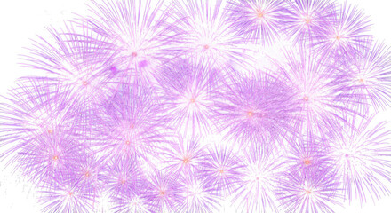 Abstract explosion of soft purple and white light bursts resembling fireworks isolated on white background