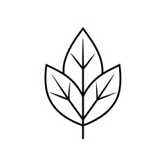 Simple outline of three leaves