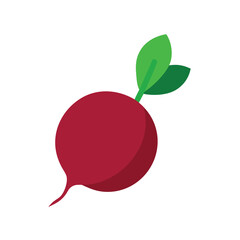 deep red beetroot with fresh green leaves 