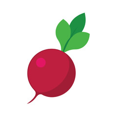 deep red beetroot with fresh green leaves 