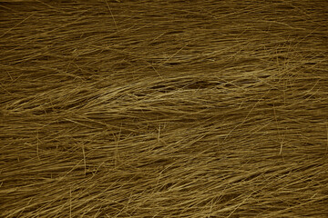 Closeup of dry grass background on the meadow. top aerial view. Dried grass background. Dry hay lying on the ground. Dry wild herbs, fodder for animals. Golden, gold beige grey gray nature backdrop.
