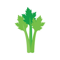 fresh celery stalks with leafy tops on white background