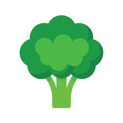 fresh green broccoli floret with detailed texture