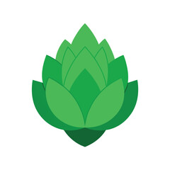  green artichoke with layered petals on white background