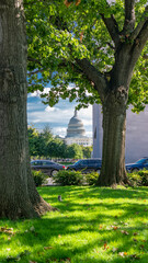 view of the US Capitol among green trees is a path to democracy and freedom.