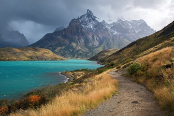 Obraz premium Torres del Paine Park Chilean Patagonia