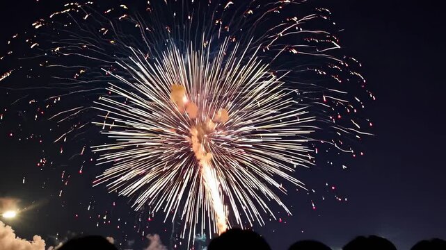 Vibrant fireworks burst in the night sky, captured from a low-angle shot. The video showcases colorful trails and glowing sparks against a dark backdrop.