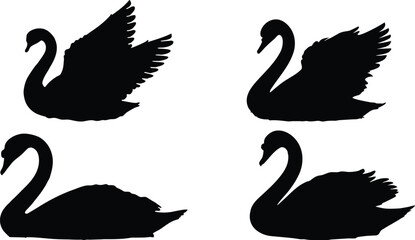 Four black swan silhouettes isolated on white background