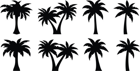 Fototapeta premium Collection of various palm tree silhouettes isolated on white background