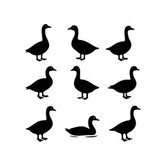 set of outline icons goose vector on a white background
set of 9 line icons, vector, on a white background