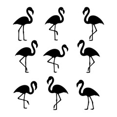 Fototapeta premium set of outline icons flamingos vector on a white background set of 9 line icons, vector, on a white background