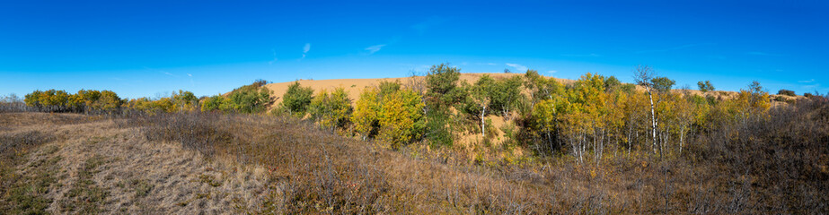 Douglas Provincial Park Sand Dune in Autumn