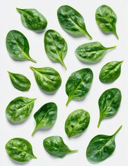 Fototapeta premium Fresh spinach leaves arranged in a symmetrical pattern against a white background