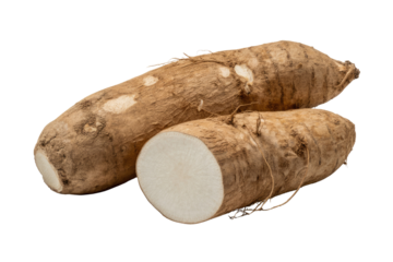 Two whole and one sliced yams, showcasing their earthy brown skin and creamy white flesh. background removed