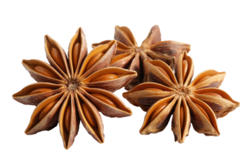 Three star anise spice pods, isolated on transparent background. background removed
