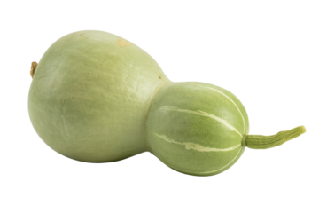 A light green gourd with a double bulb shape, isolated on a transparent background. background removed