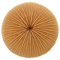 Textured Mushroom Coral Disc