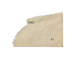 Obraz premium Torn Aged Page Fragment with Partial Spanish Text and Page Number on Transparent Background