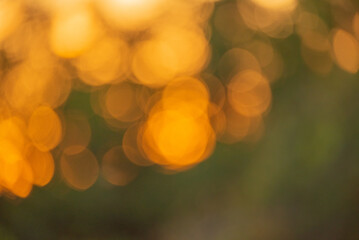 Defocused natural background. Defocused light at sunset nature.