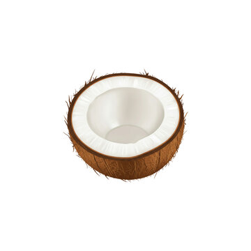 Halved Coconut with White Flesh Inside