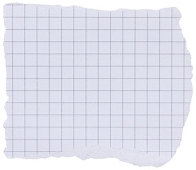 Piece of torn checkered white notebook page with black grid, isolated paper element for scrapbooking