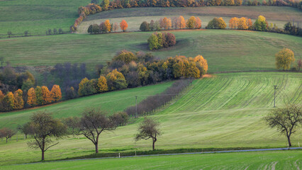 Rolling green hills with colorful trees. A road cuts through the landscape. Autumn foliage paints the scene with warm colors. Moravia region of Czech Republic, Europe.
