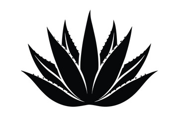 aloe vera silhouette vector art