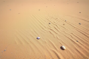Sand Dune Ripples
