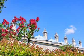 Historic ottoman architecture with red flowers against blue sky