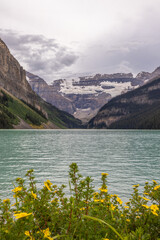 Glacier-fed Lake Louise with Wildflowers on a Summer Day in Banff National Park