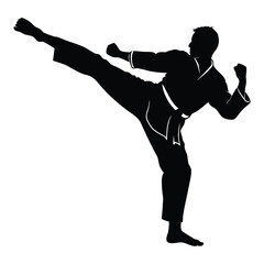 Silhouette of a martial artist performing a dynamic high kick in a dojo