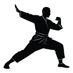 Silhouette of a martial artist in a dynamic fighting stance