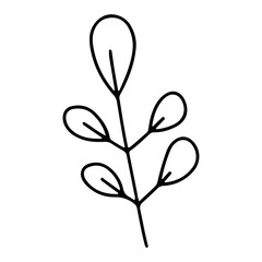 Simple Black Outline Drawing Of A Small Branch With Five Oval Shaped Leaves On A Transparent Background Minimalist Botanical Illustration