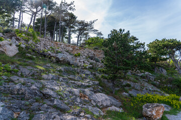 Vrbnik, Croatia - April 20, 2025: Panoramic view of the mountains and sea. Beautiful landscape of mountains, sea, and forest