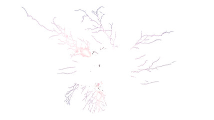 tree branches with leaves