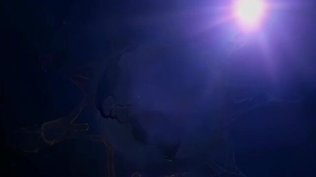A glowing shield of light forms to deflect dark particles. A powerful metaphor for prevention, treatment, and the body's fight against cancer. Hopeful and strong.