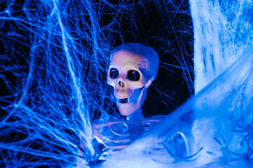  Halloween skull in a spider web in an ominous blue light in the dark.