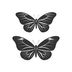 Elegant Butterfly Duo Vector Illustration for Designs and Branding