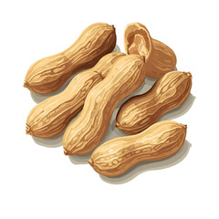 peanuts on a white background