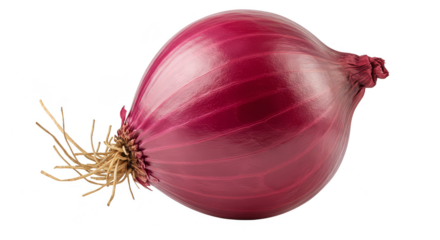 Isolated Red Onion With Green Sprouts Transparent Background Realistic Photo