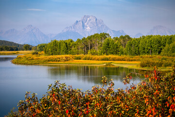 Mount Moran Reflected in Calm Water with Autumn Foliage, Grand Teton National Park