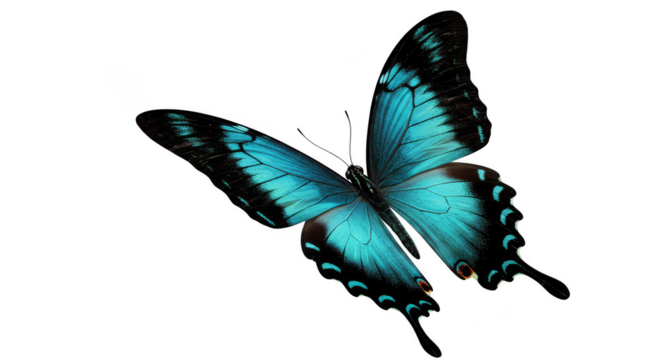 Realistic blue butterfly on transparent background isolated