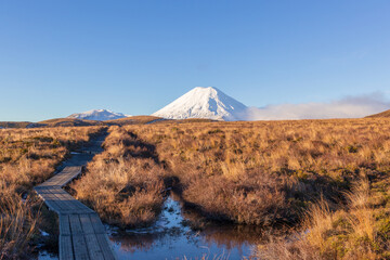 Walkway in Tongariro National Park wilderness