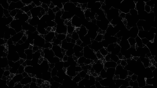 Abstract Particle Network Animation | Digital Flow HTML5 Background