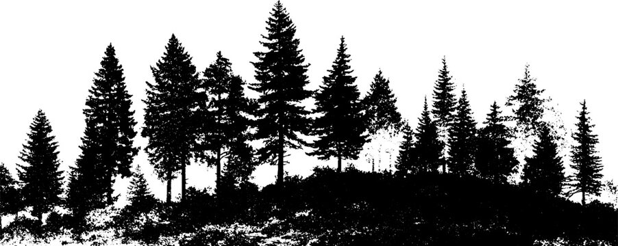 Black and white silhouette of dense forest scene