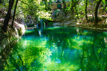 Obraz premium Green lake in the Butterfly Valley (Petaloudes), a small waterfall in the background, Rhodes, Greece