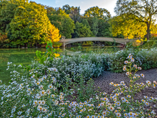 Bow bridge in late summer
