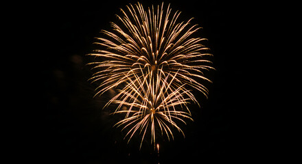 Fireworks Brilliance Against the Night Sky: An illuminating display of gold fireworks explodes in the darkness, creating a moment of awe and celebration.