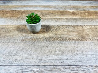 観葉植物と木目の背景素材