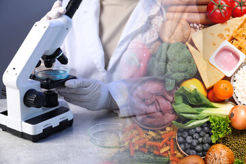 Food quality analysis. Laboratory worker using microscope, double exposure with different products